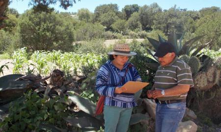 PREMIO A TESIS DE LA ESCUELA NACIONAL DE ESTUDIOS SUPERIORES UNAM-MORELIA
