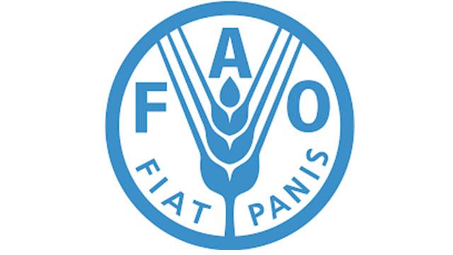 Participa Gobierno CDMX en segunda reunión de alcaldes organizada por la FAO