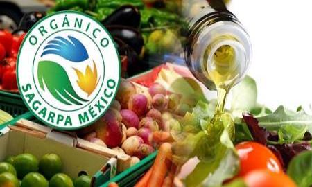 QuÃ© es el sello OrgÃ¡nico Sagarpa MÃ©xico y cÃ³mo obtenerlo
