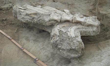 IDENTIFICAN RITUAL DE INVIERNO EN NUEVO LEÃ“N DE HACE 8,000 AÃ‘OS