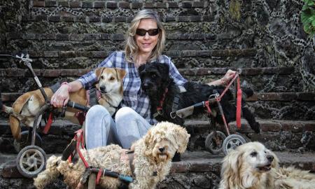 Milagros Caninos es el primer santuario para perros en la CDMX