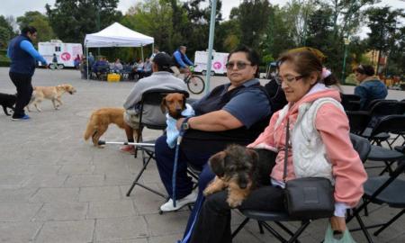 TRAE A TU MASCOTA A LA MEGA JORNADA DE ESTERILIZACIÃ“N
