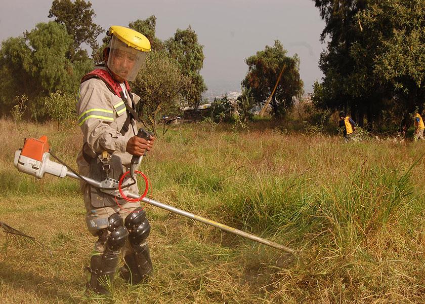 DELEGACIÓN IZTAPALAPA, CORENA, EMPRESARIOS Y AMBIENTALISTAS REFORESTAN EL CERRO DE LA ESTRELLA