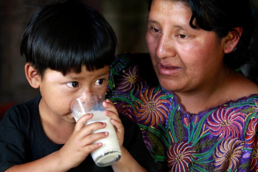 El Programa de Abasto Social de Leche Liconsa contribuye a mejorar la nutriciÃ³n de 6 millones de mexicanos