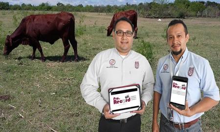 Crean politÃ©cnicos app que facilita manejo de datos de producciones ganaderas