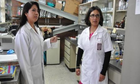 Investiga IPN efectos positivos de la planta de Aranto contra cÃ¡ncer de mama