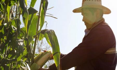 MÃ©xico Alimentaria 2016 Food Show: Agricultura, el campo a la vista