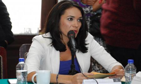 Incongruencia seÃ±alar a Trump como una amenaza: Diputada Dunia Ludlow