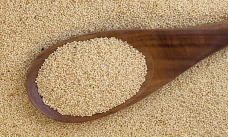 IMPULSAR EL CULTIVO Y LA COMERCIALIZACIÃ“N DEL AMARANTO