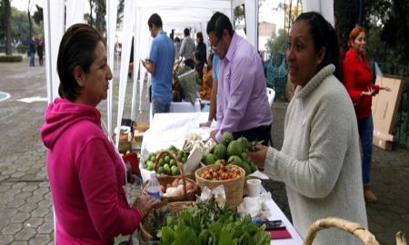 Mercado Alternativo en la DMH