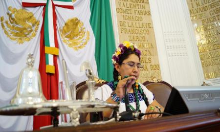 PRESERVAR Y PROMOVER LA IMPORTANCIA DE BIENES CULTURALES INMATERIALES EN CDMX: PVEM