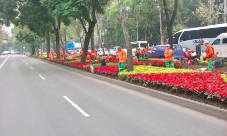 Paseo de la reforma se llena de 200 mil Nochebuenas