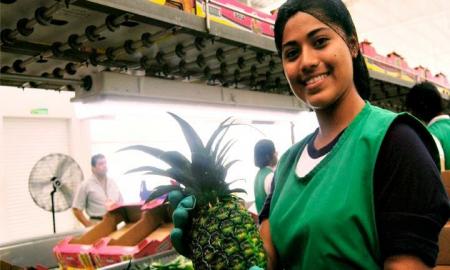 PiÃ±a mexicana, una fruta de excelencia