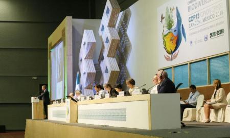 ParticipÃ³ Enrique De La Madrid En El Foro Internacional De La COP13