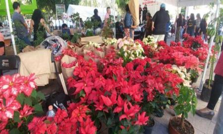 Feria NavideÃ±a 2016 en Azcapotzalco