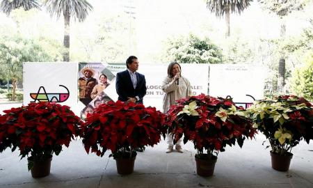 ARRANCA FESTIVAL DE LAS NOCHEBUENAS Y MERCADO DE PRODUCTOS ORGÃNICOS EN MIGUEL HIDALGO