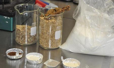 Crean alumnos del IPN botana nutritiva para oficinistas