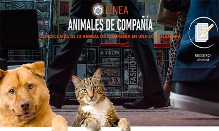LOCATEL continÃºa con registro de animales de compaÃ±Ã­a