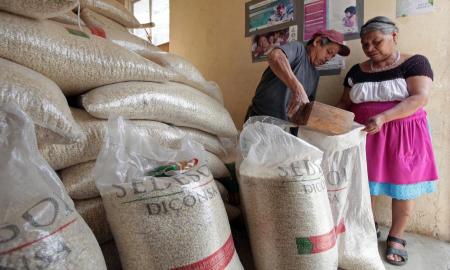 Diconsa llevarÃ¡ productos bÃ¡sicos a precios accesibles a mÃ¡s de 30,840 comunidades