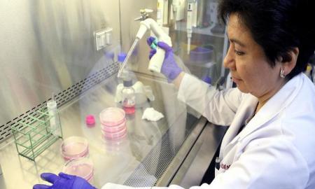 Ratifican cientÃ­ficos del IPN oxidaciÃ³n de la insulina en personas obesas