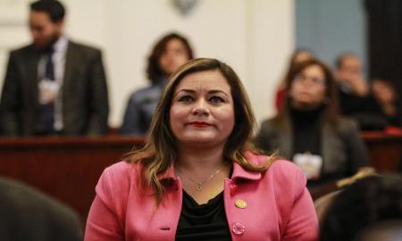 MÃ‰XICO DEBE RECHAZAR EL MURO Y EL IMPUESTO FRONTERIZO QUE PRETENDE IMPONER TRUMP: ELIZABETH MATEOS