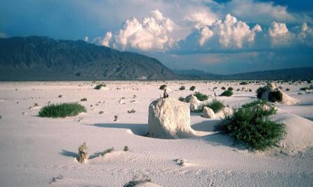 LA RUTA DE MÃ‰XICO, EL PUEBLO MÃGICO DE CUATRO CIÃ‰NEGAS, COAHUILA   