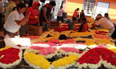 TODOS LOS FESTEJOS DEBEN REALIZARSE CON APEGO A LA LEGALIDAD: DIONE ANGUIANO