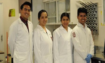 Elaboran zoofÃ¡rmaco para tratar artritis reumatoide