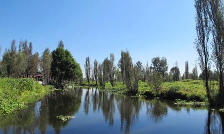 LOS HUMEDALES EN LA CDMX, EN GRAVE RIESGO POR LOS ASENTAMIENTOS IRREGULARES