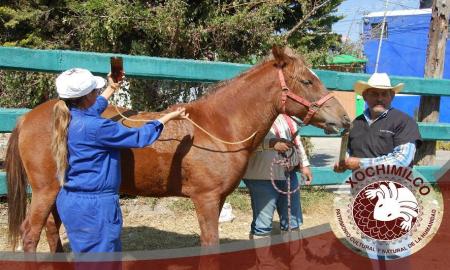 Primera Jornada MÃ©dico Veterinaria