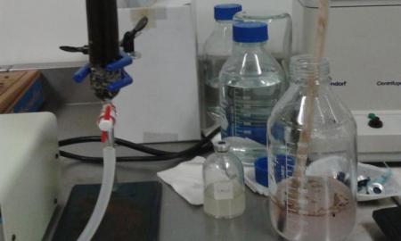  Usan microorganismos para recuperar petrÃ³leo