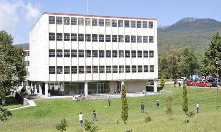 NutriÃ³logo politÃ©cnico: EnseÃ±ar a comer sano, sin sustituir de golpe el azÃºcar 