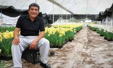 Sin flores no hay paraÃ­so
