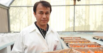 Evalúan tecnología para mejorar la rentabilidad del chile habanero