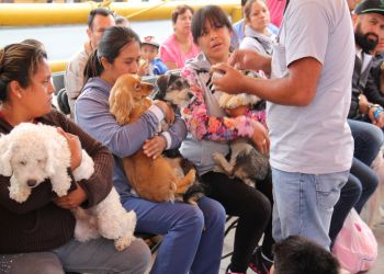CONVOCA LA DELEGACIÓN IZTAPALAPA A LA CUARTA ETAPA DE LA CAMPAÑA DE ESTERILIZACIÓN ANIMALÍZATE