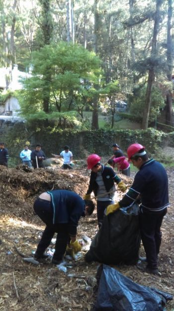 Realiza Cuajimalpa jornada de limpieza en el bosque Loma de Pachuquilla