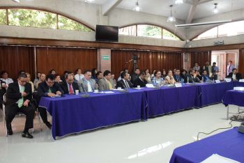 Reporta Observatorio Ciudadano incremento en la ejecución de proyectos ciudadanos del presupuesto