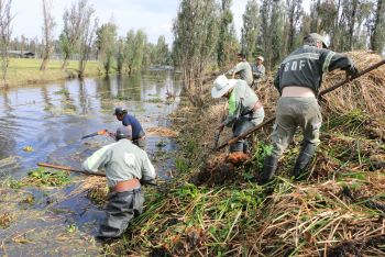 REDOBLAN ESFUERZOS EN LA LIMPIEZA DE CANALES