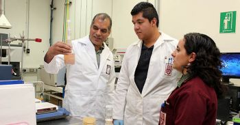 Optimizan en IPN proceso de malteado y fermentaciónde whisky artesanal