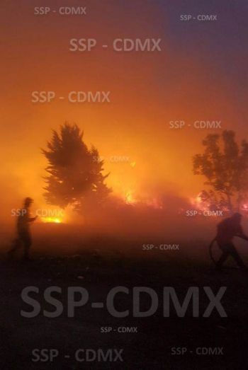 SSP-CDMX APOYA A COMBATIR INCENDIO DE PASTIZAL EN XOCHIMILCO