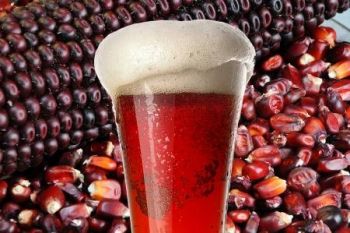 La UAM crea cerveza artesanal con antioxidantes.