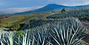 La Ruta de México, el Pueblo Mágico de Tequila, Jalisco