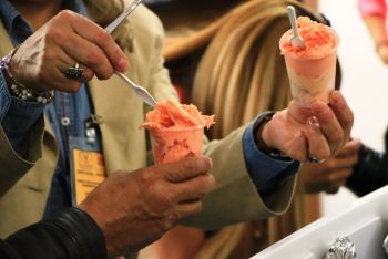 PRESENTAN FERIA NACIONAL DE LA NIEVE EN XOCHIMILCO