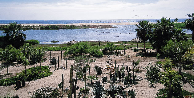 La Ruta de México, el Pueblo Mágico de Todos Santos, Baja California Sur