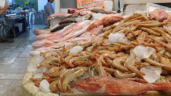 Emite Gobierno CDMX recomendaciones para consumo de pescados y mariscos en temporada de Cuaresma