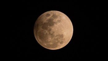 Observa la luna rosada desde el Museo de Historia Natural de CDMX