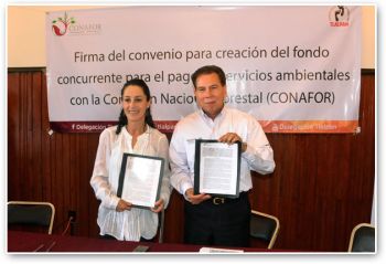 Tlalpan y CONAFOR crean fondo para el pago de servicios ambientales