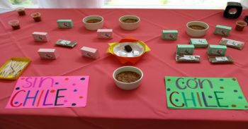 Idean politécnicos sazonador de chapulín