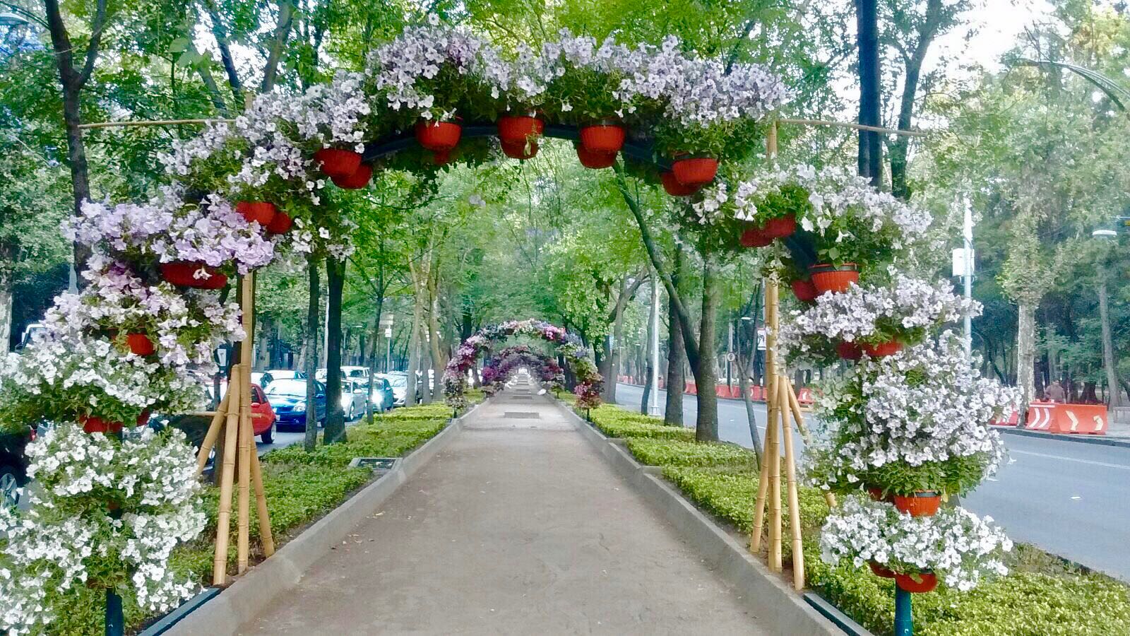 Instalan 72 arcos florales en Avenida Paseo de la Reforma
