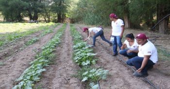 Asesoran politécnicos a agricultores de la Mixteca Oaxaqueña